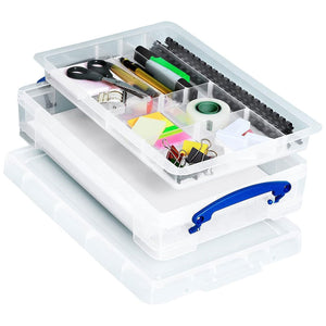 Really Useful Box 4L Storage Container with Lid and Clip Lock Handles, (10 Pack)