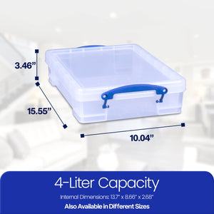 Really Useful Box 4L Storage Container with Lid and Clip Lock Handles, (10 Pack)