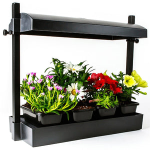 SunBlaster SL1600198 T5HO Micro T5 Grow Light Garden for Seed Starting, Black - TRAPSKI