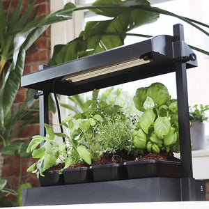 SunBlaster SL1600198 T5HO Micro T5 Grow Light Garden for Seed Starting, Black - TRAPSKI