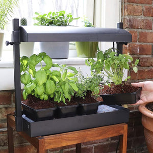 SunBlaster SL1600198 T5HO Micro T5 Grow Light Garden for Seed Starting, Black - TRAPSKI