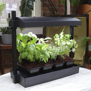 SunBlaster SL1600198 T5HO Micro T5 Grow Light Garden for Seed Starting, Black - TRAPSKI