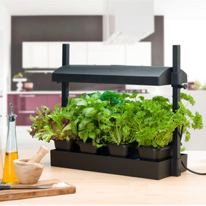 SunBlaster SL1600198 T5HO Micro T5 Grow Light Garden for Seed Starting, Black - TRAPSKI