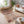 Jewel Area Rugs