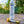 Camco Hydro Life Hydroponics C85 Inline Water Filter w/ Flexible Hose Protector