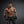 HolaHatha Iron Hexagonal Cast Home Exercise Dumbbell Free Weight, 40 Pounds