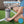 Bestway Flowclear 1,000 Gallons per Hour Above Ground Swimming Pool Filter Pump - TRAPSKI