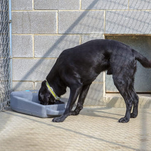 Dakota 283 Dash 3.5 Gallon Water Bowl/Dispenser System for Dogs & Pets, Orange