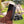 Gorilla Carts Poly Garden Dump Cart Camping Beach Wagon, 600 Pound Capacity