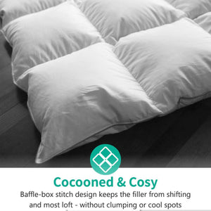 APSMILE Luxurious Feathers Down Full Queen Duvet Insert Comforter, White