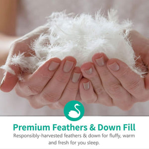 APSMILE 90 x 106 Inch King Sized All Season Feathers Down Cotton Comforter, Gray