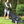 Yard Force Self Propelled FWD 3-in-1 Gas Push Lawn Mower with 22