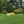 Nelson Rain Train 13,500 Square Feet Cast Iron Lawn Traveling Sprinkler, Yellow