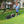 Yard Force Self Propelled 3-in-1 Gas Powered Push Lawn Mower with 22