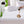 Sleepgram Breathable Sweat Proof Cotton Cover Mattress Protector, Full, White