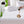 Sleepgram Breathable Sweat Proof Cotton Cover Mattress Protector, Twin, White