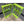 Boulder Tuff Powder Coated Metal 1,100 Pound Capacity Rock Boulder Tongs, Green
