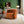 Walden - Stylish Swivel Chair