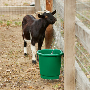 Farm Innovators 3 Gal Flat Back Plastic Heated Bucket, 70 Watt, Green (4 Pack) - TRAPSKI