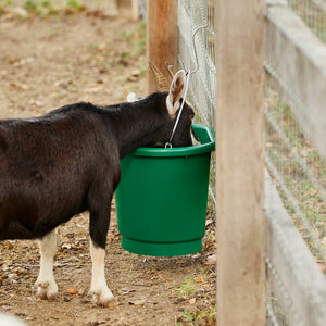 Farm Innovators 3 Gal Flat Back Plastic Heated Bucket, 70 Watt, Green (4 Pack) - TRAPSKI
