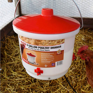 Farm Innovators Heated 2 Gallon Poultry Water Bucket Drinker, White/Red (3 Pack) - TRAPSKI