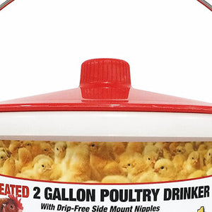 Farm Innovators Heated 2 Gallon Poultry Water Bucket Drinker, White/Red (3 Pack) - TRAPSKI