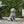 MGO Dog Statue, Outdoor Stone Gray