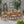 Outdoor 6 Seater Acacia Wood Dining Set with Cushions in Teak Finish and Cream Color