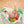Fisher Price Rainforest Jumperoo Baby Bouncer Entertainer - Open Box