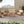 Outdoor 4pc Acacia Wood and Rope Sectional Patio Sofa Set
