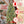 6ft Pre-Lit Artificial Christmas Tree with 380 Warm White LED Lights