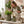 S/2 Iron Milk Jug Planters with Textured Green Finish