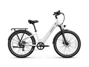 Poodle Pro Ebike