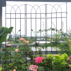 2 Pack Metal Garden Trellis