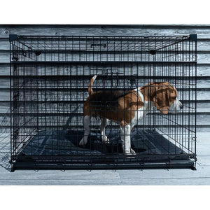 Lucky Dog Dwell Series 48 Inch XL Kennel Secure Fenced Pet Dog Crate, Black - TRAPSKI