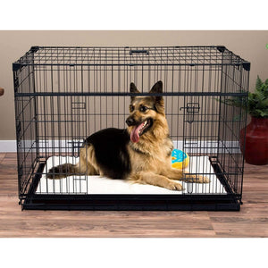 Lucky Dog Dwell Series 48 Inch XL Kennel Secure Fenced Pet Dog Crate, Black - TRAPSKI