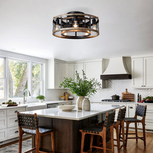 20'' Cage Ceiling Fan With Remote Control
