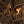 Thayer Single Panel Iron Fireplace Screen with Geometric Design