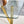 Dining Table With Transparent Surface