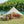 4 Season Bell Tent 16.4FT