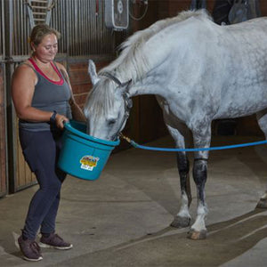 Little Giant Heavy Duty 22 Quart Flat Back Plastic Bucket w/ Metal Handle, Teal