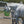 Little Giant 12 Quart Mountable Livestock Hook Over Bucket Feeder, Lime Green - TRAPSKI