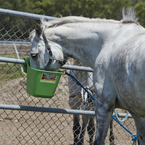Little Giant 12 Quart Mountable Livestock Hook Over Bucket Feeder, Lime Green - TRAPSKI
