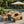 Outdoor 6 Pieces Acacia Wood Dining Set with Cushion and Handwoven Rattan Legs