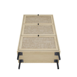Modern Rattan 3 Door Shoe Rack Cabinet for Entryway