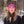 Lightweight Wool Cuff Beanie - 100% Merino Wool