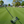 Heavy Duty Rolling Lawn Aerator