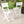 Outdoor Foldable Wood Dining Chair With Slat Design (Set of 2)