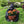 Outdoor Garden Sculpture Chimpanzees Flower Pot Planter