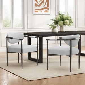 Modern Dining Chairs Set of 2 with Bronze Iron Frame